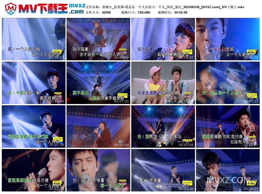 黄榕生_赵英博-我总是一个人在练习一个人_国语_流行_MD306338